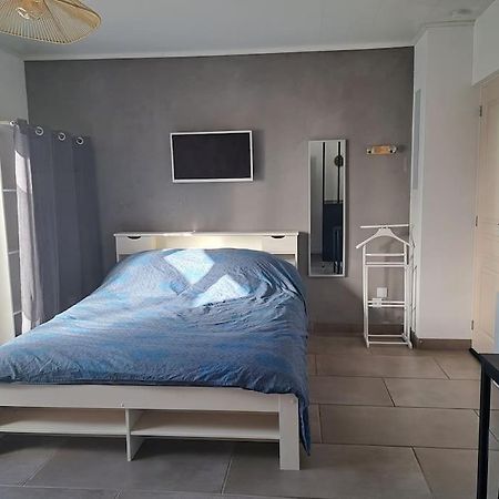 Studio Dans Maison Avec Jardin Et Balcon, Au Calme Sérézin-du-Rhône Kültér fotó