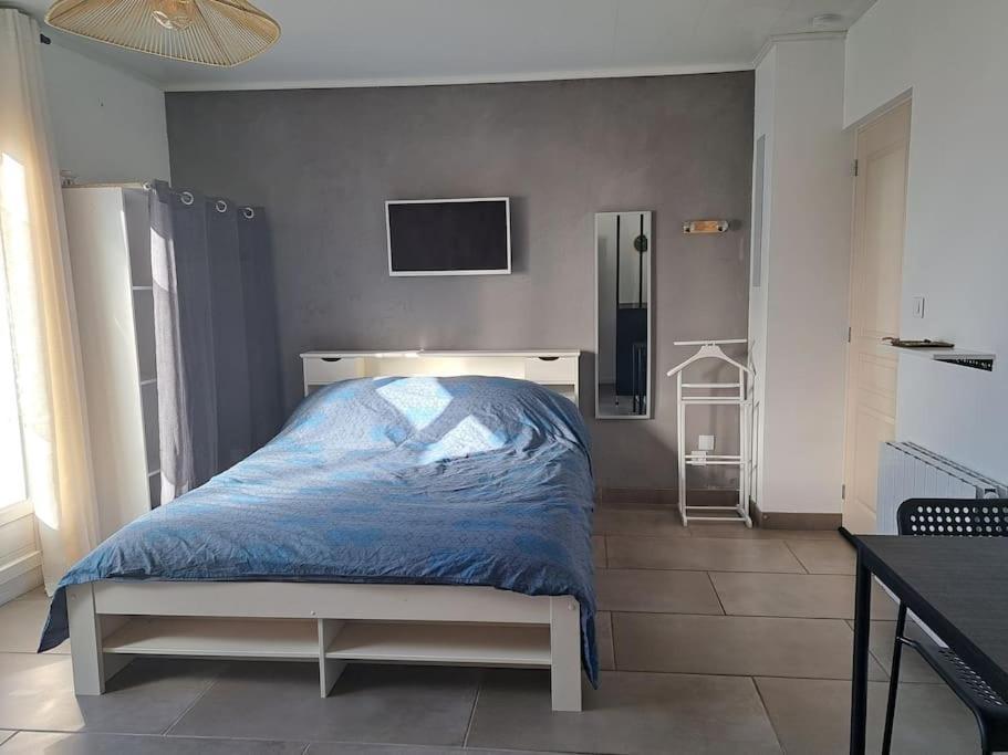 Studio Dans Maison Avec Jardin Et Balcon, Au Calme Sérézin-du-Rhône Kültér fotó